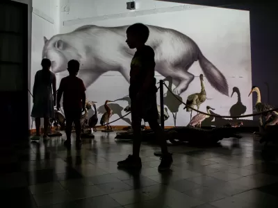 El Museo Serrano invita a conocer su Reserva T&eacute;cnica